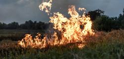 Incendies en Gironde : hommage