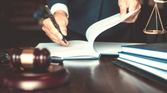 Contrôle des antécédents judiciaires