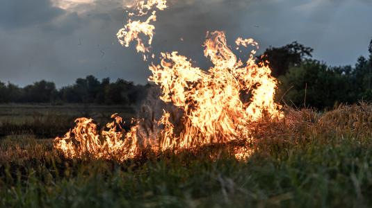 Hommage incendies en Gironde